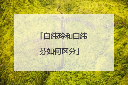 白纬玲和白纬芬如何区分