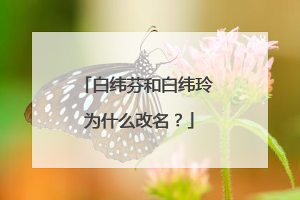 白纬芬和白纬玲为什么改名？
