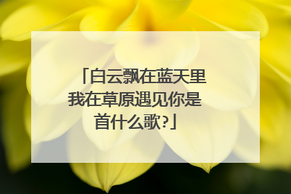 白云飘在蓝天里我在草原遇见你是首什么歌?