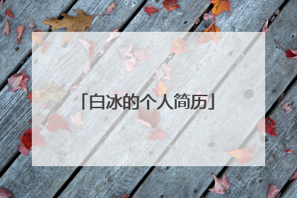 白冰的个人简历