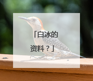 白冰的资料？