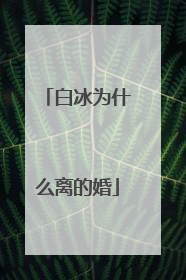 白冰为什么离的婚