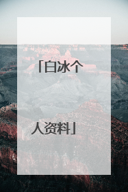白冰个人资料