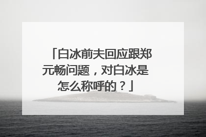 白冰前夫回应跟郑元畅问题，对白冰是怎么称呼的？