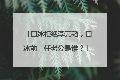 白冰拒绝李元韬,白冰前一任老公是谁?