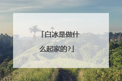 白冰是做什么起家的?