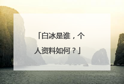 白冰是谁,个人资料如何?