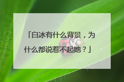 白冰有什么背景，为什么都说惹不起她？