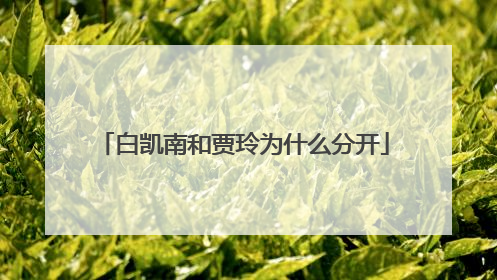 白凯南和贾玲为什么分开