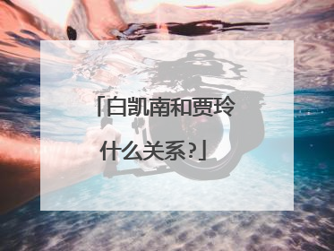 白凯南和贾玲什么关系?