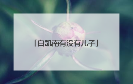 白凯南有没有儿子