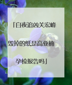 白夜追凶关宏峰毁掉的纸是高亚楠孕检报告吗