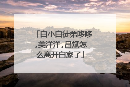 白小白徒弟哆哆,美洋洋,吕斌怎么离开白家了