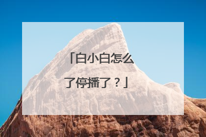 白小白怎么了停播了?
