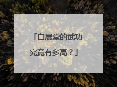 白展堂的武功究竟有多高？