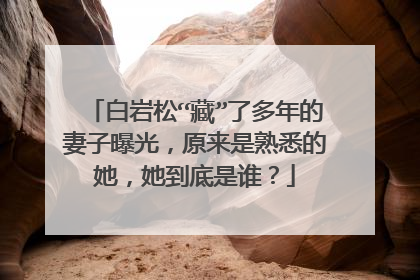 白岩松“藏”了多年的妻子曝光,原来是熟悉的她,她到底是谁?