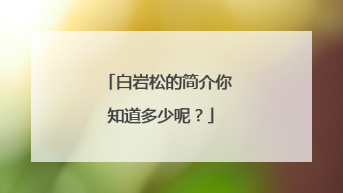 白岩松的简介你知道多少呢?