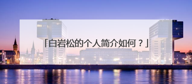 白岩松的个人简介如何?