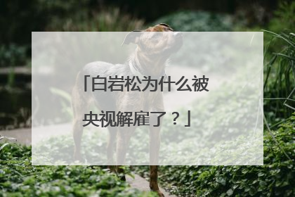 白岩松为什么被央视解雇了？