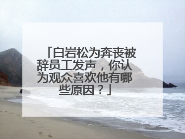 白岩松为奔丧被辞员工发声，你认为观众喜欢他有哪些原因？