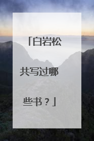 白岩松共写过哪些书?