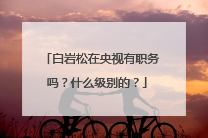 白岩松在央视有职务吗？什么级别的？