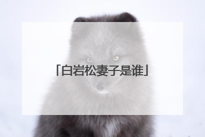 白岩松妻子是谁