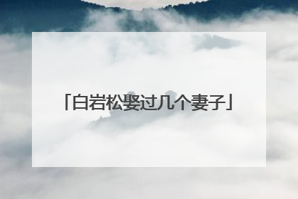 白岩松娶过几个妻子