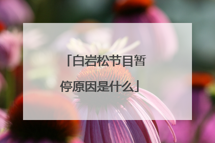 白岩松节目暂停原因是什么