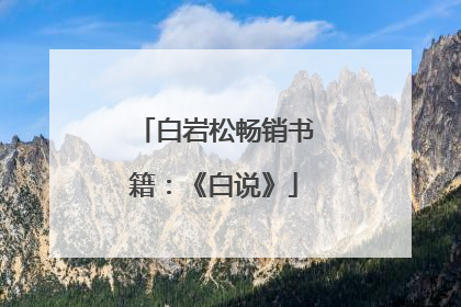 白岩松畅销书籍：《白说》