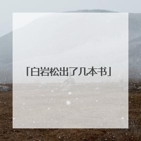 白岩松出了几本书