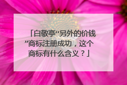 白敬亭“另外的价钱”商标注册成功,这个商标有什么含义?