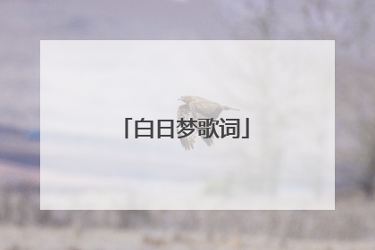 白日梦歌词