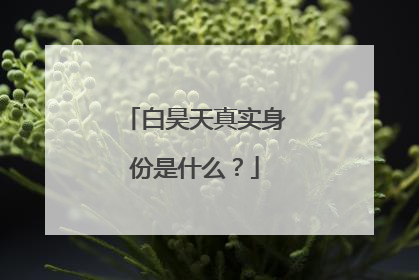 白昊天真实身份是什么？
