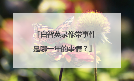 白智英录像带事件是哪一年的事情？