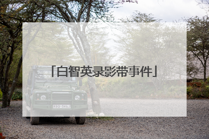 白智英录影带事件