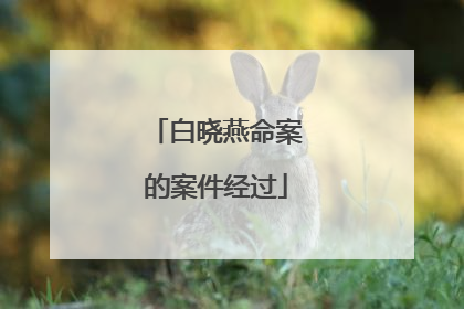 白晓燕命案的案件经过