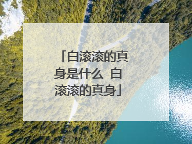 白滚滚的真身是什么 白滚滚的真身