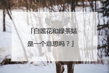 白莲花和绿茶婊是一个意思吗？