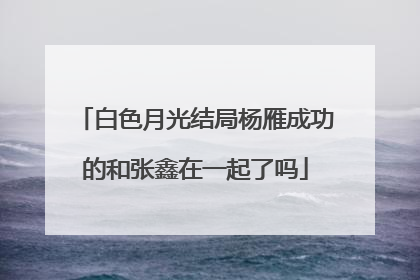 白色月光结局杨雁成功的和张鑫在一起了吗