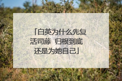 白英为什么先复活司藤 归根到底还是为她自己