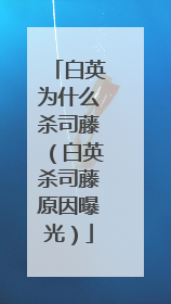 白英为什么杀司藤(白英杀司藤原因曝光)