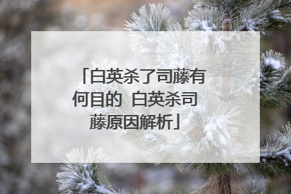 白英杀了司藤有何目的 白英杀司藤原因解析
