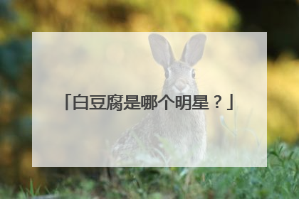 白豆腐是哪个明星?