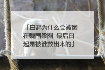 白起为什么会被困在魏国梁囿 最后白起是被谁救出来的