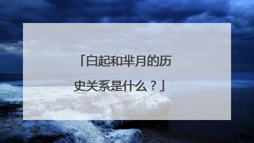白起和芈月的历史关系是什么？
