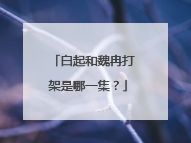 白起和魏冉打架是哪一集？