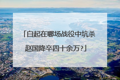 白起在哪场战役中坑杀赵国降卒四十余万?