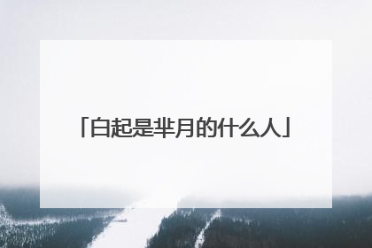 白起是芈月的什么人