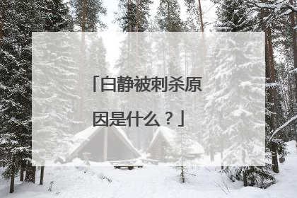 白静被刺杀原因是什么?